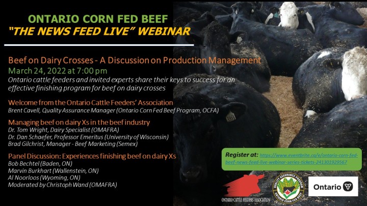 Webinar: Beef on Dairy Crosses – A Discussion on Production Management